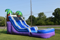 DSC 0010 1694451883 15' Purple Tropical Wave Water Slide